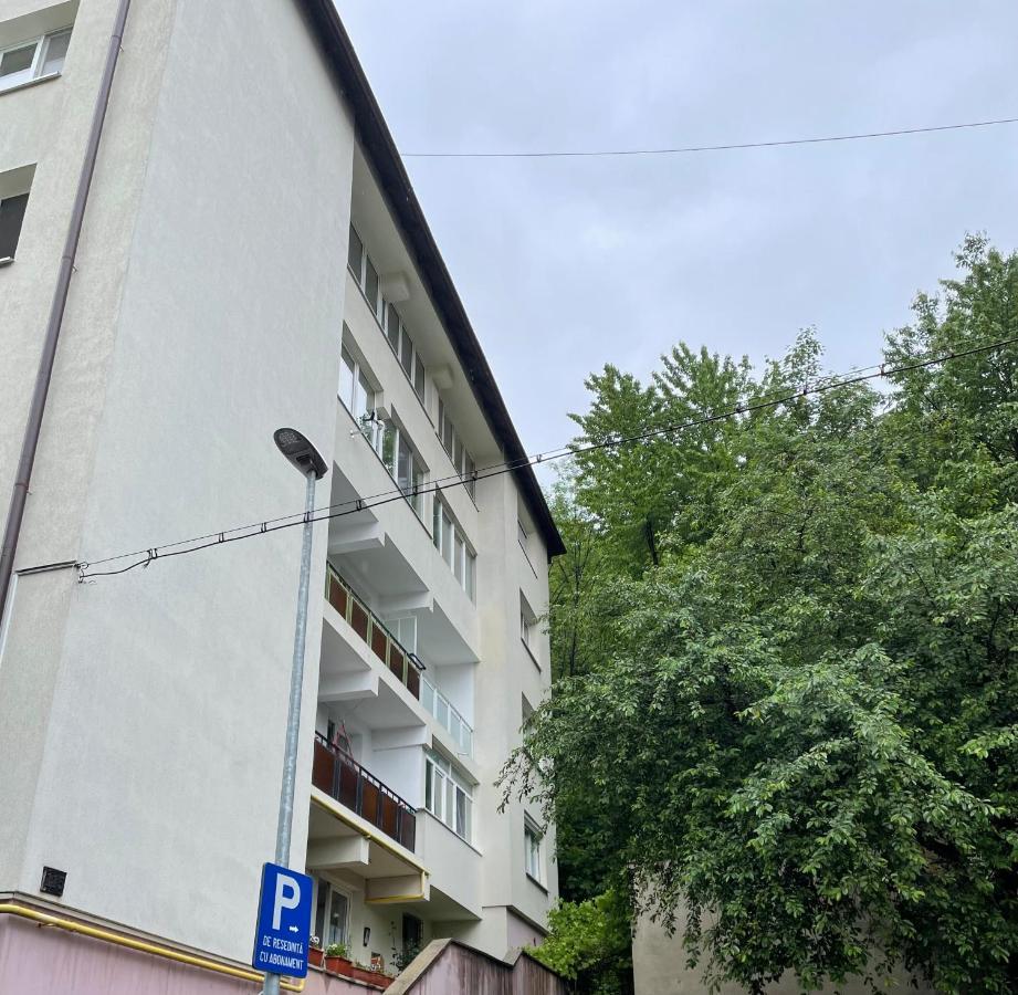 Old Citadel Hill Apartment Брашов Экстерьер фото